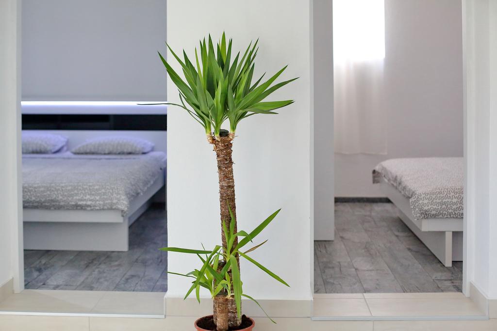 Apartment Goga Bibinje